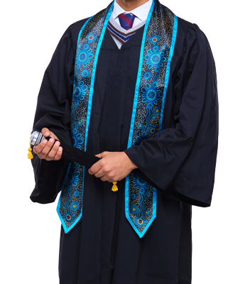 Sashes